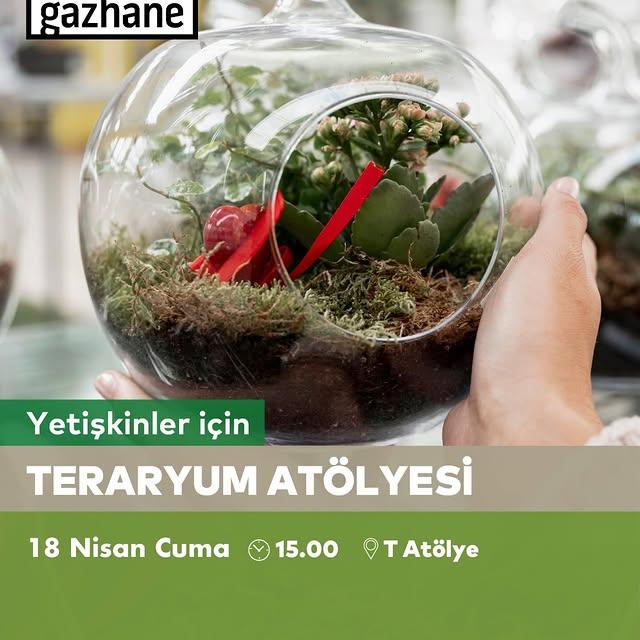 Müze Gazhanede Yetişkinler Teraryum Atölyesi